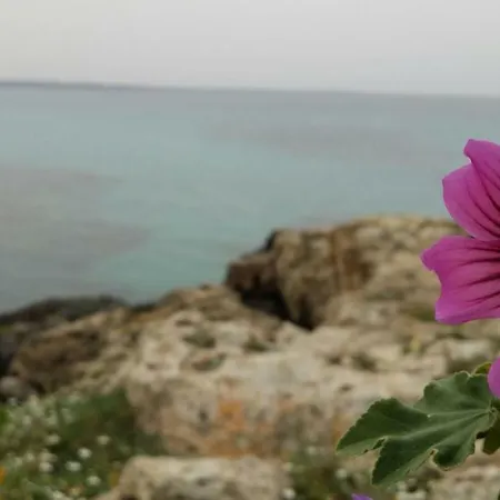 Prázdninový dům 252 Via Udine Gallipoli