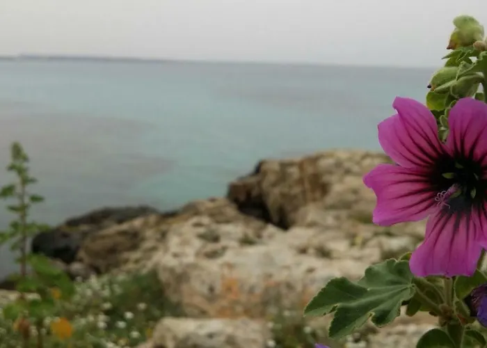 Casa vacanze 252 Via Udine Gallipoli